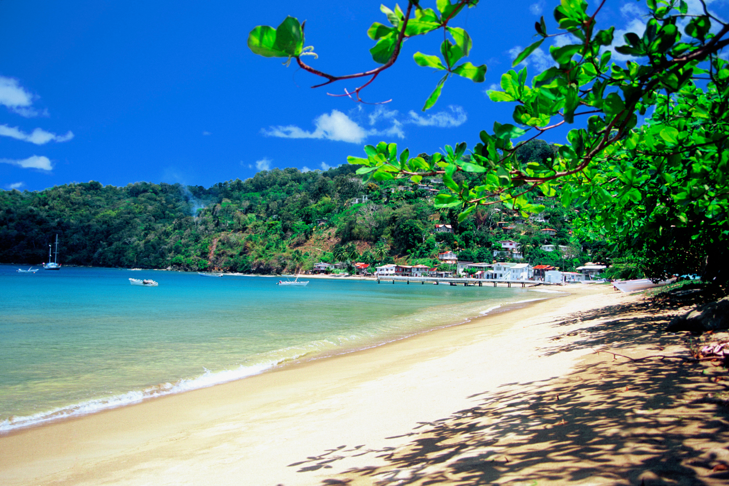 charlotteville 04.webp